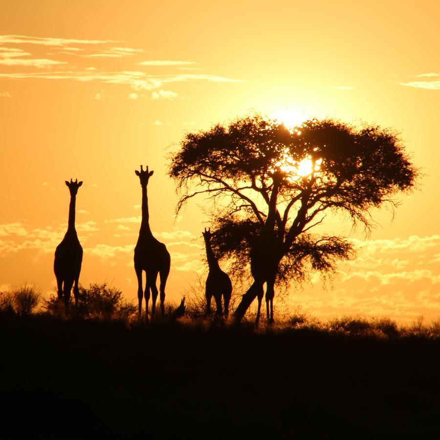 Kalahari Red Dunes Lodge Kalkrand Eksteriør billede