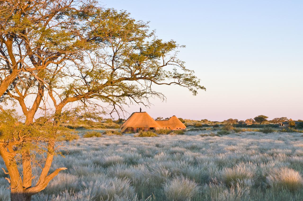 Kalahari Red Dunes Lodge Kalkrand Eksteriør billede
